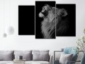 лев на черном фоне Изображение 2