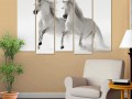 два белых коня Изображение 2