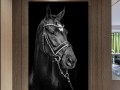 конь на черном фоне - постер Изображение 1