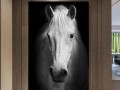 Почерк белого коня в черно-белом Изображение 2