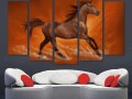 лошадь - цифровая живопись Изображение 3
