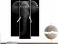 слон на черном фоне Изображение 1