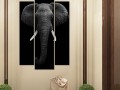 слон на черном фоне Изображение 3
