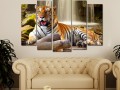 тигр на водопаде Изображение 2